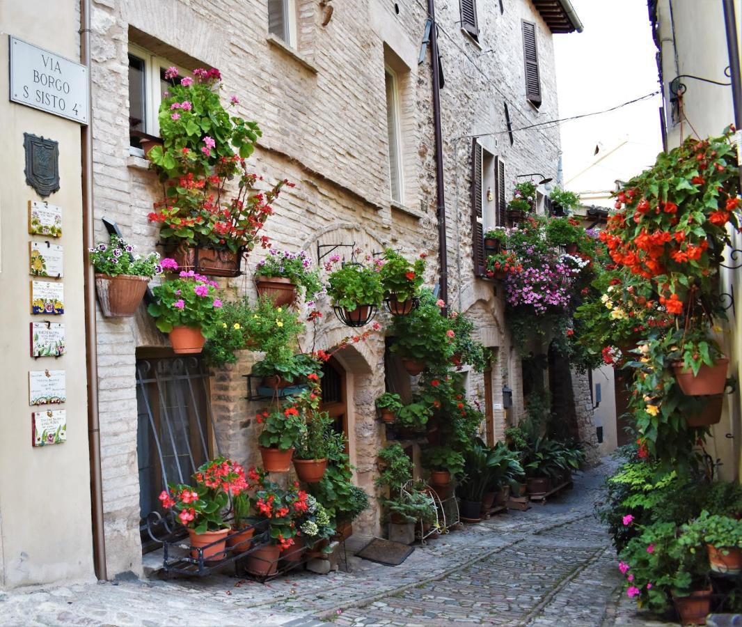 Borgo San Sisto Apartment Spello Zewnętrze zdjęcie